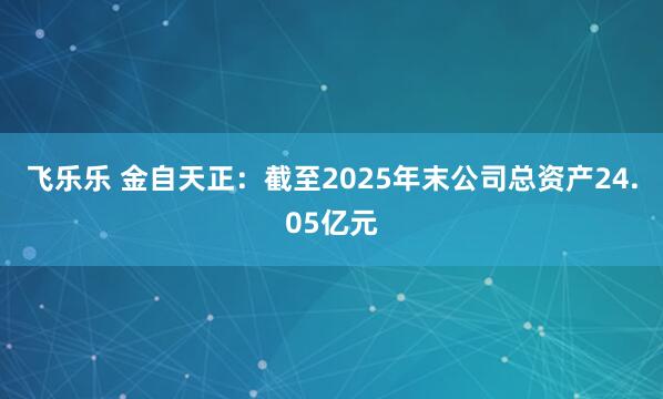 飞乐乐 金自天正：截至2025年末公司总资产24.05亿元